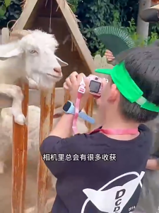 Kids Camera for Children with 8x Zoom 48MP Photo HD 1080P Video Recording 5 Games Music Player MP3 Function Front Back Camera Timer 2 Inch IPS Screen 32GB Memory Card Rechargeable Battery ABS Material