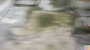 Đồ chơi bắn bong bóng xà phòng 32 nòng hình khủng long nhựa ABS an toàn đồ chơi bắn bong bóng loại to tiêu chuẩn cho bé