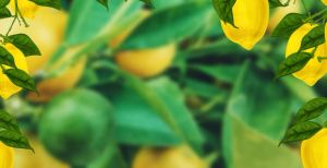 Gantungan Sepeda Listrik Hook Hanger Skuter Scooter Elektrik Untuk Xiaomi Mijia M365 Pro