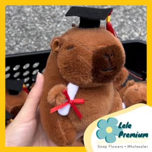 LELE (1pc)CHEAPEST Patung Kapibara Konvo 13cm Capybara Plush Toy Cabybara Convo Graduation Doll 水豚卡比巴拉毕业玩偶
