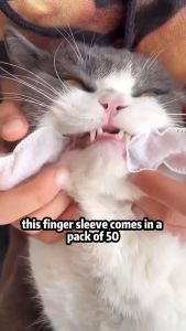 Pet Dental Wipes 50Pcs Cat Dog Teeth Cleaning Finger Wipes Dog Oral Care Pet Toothbrush Alternative