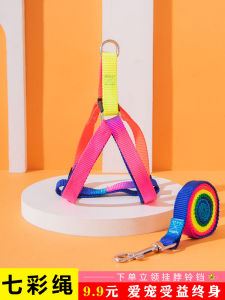 Colorful Dog Leash Vest-Style Pet Walking Rope Nylon Material Non-Stretchable Dog Harness Leash for Small to Medium Dogs