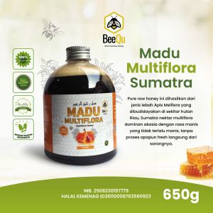 Madu Murni Asli Nektar Multiflora Sumatra 100% Pure Raw Honey 650 gram - BeeQu Honey