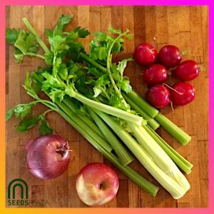 SeedsPLAZA™ - Tall Celery Seeds for Planting Vegetables (200 Seed) Organic Vegetable Green Stem Celery Plant for Pots