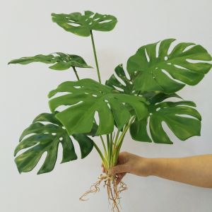 Artificial Turtle Back Leaf Spring Rain Leaf Hydroponics Small Angel Home Model Room Decoration Wedding Photography Plant Materials