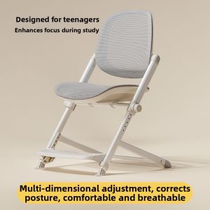 MEIHAOTONGNIAN | Elevating Student Study Chair