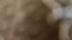 Bros kebaya etnik timur/Bros kebaya merak permata gold putih/Bros baju pengantin