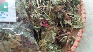 1kg cây xích đồng nam sấy khô