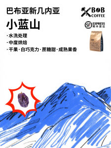 Bob Dylan Coffee Beans Medium Roast Italian Style Hand Pour Filter Coffee Beans from Papua New Guinea 22 Cups per Bag