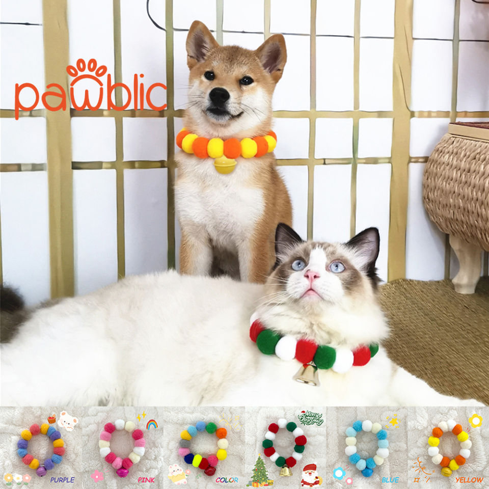 Pawublic 🌈 🐱 ราคาพร้อม 🐱 ปลอกคอแมว 🌸 🐱 ปลอกคอแมว 🌸 ปลอกคอแมว หรือ ปลอกคอน่ารัก 🌸 ปอมปอมดอกไม้