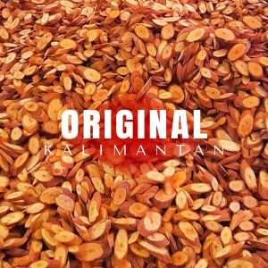 Akar kayu bajakah kalalawit merah Kalimantan 1kg