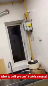 Rats died one after another racun tikus mati 3 saat 老鼠驱赶药 ubat tikus paling kuat 老鼠药 mouse killer tikus mati ubat rat poison killer racun tikus paling kuat