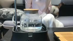 Home Heat Resistant High Borosilicate Glass Water Teapot 1600ml