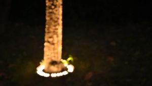 d | LED Outdoor Tree Spot Light LED Wall Washer Aluminum RGB IP65 Can be used outdoors under large trees and cylindrical cones