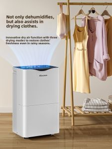Hisense | High-Power Dehumidifier 55L