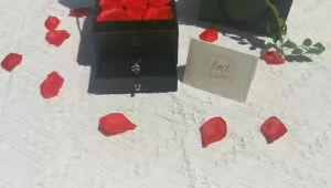 Hadiah 9 Mawar Kotak Kado Kalung Kotak Perhiasan Kalung Ini Berarti Cinta Sejati Selamanya
