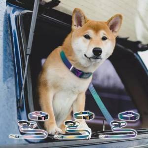 HamshMoc Heavy Duty Pet Leash Combo Slide Adjust D-Ring Tangle-Free Clip Attachment Point Wear Resistant Weave