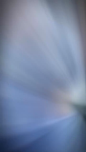 Set 3 món thiết kế quyến rũ set đồ nữ đi biển chất Đũi sọc áo bra phối Ren xinh mix quần suông dài kèm áo khoác sơ mi cách điệu