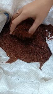 Cocopeat infarm halus murni 1 kg - media tanam hidroponik