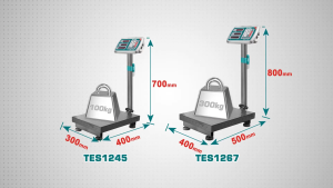 Cân điện tử 300kg Total TESA33001 - Hàng chính hãng