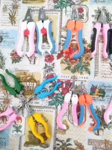 [Đủ loại] Bấm móng cho chó mèo cắt móng sạch sẽ cho thú cưng