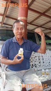 มิตรพลัส น้ำมันรวม 5 ชนิด เบาหวาน ความดัน ไขมันสูง ปวดตามข้อเข่า | บรรจุ 30 แคปซูล ขนาด 1000 mg