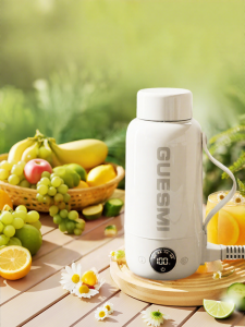 Portable Thermostatic Electric Water Cup