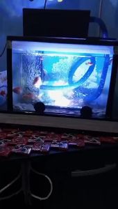 Lampu CELUP LED NS EKSIS AQUARIUM AQUASCAPE AKUARIUM