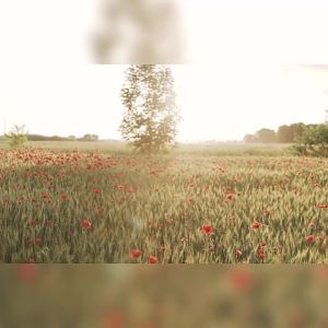 <热销爆款>💗🙋♀️💗【30天热销2506件】SO名创优品俏女孩香水女士清新自然淡香学生平价香水小众