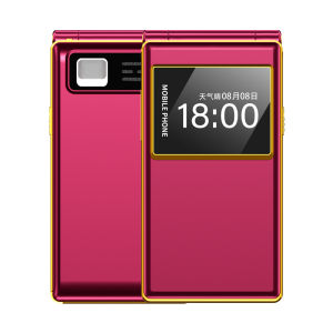BIRD | Flip Easy-use Senior-friendly Phone Large Screen Loud Audio Long Battery 4G