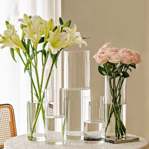 Light Luxury Vase Ins Style Cylinder Vase Transparent Flower Vase Living Room Decoration Vase Household Hydroponic Plants Cup