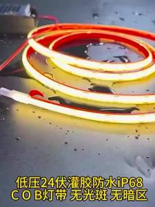 YUANMUXUAN | Outdoor Waterproof COB LED Strip Light Low Voltage IP68