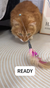 POODEE PETS Malaysia Cat Collar Toy Interactive Self Playing Teasing Wand wt Colorful Natural Feathers Lightweight Silicone Kitten Toy