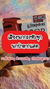 เทพไรแดง888 เสียงนกกรงหัวจุก นกป่าตากแดด แฟลชไดร์ฟ USB เสียงดังฟังชัด เปิดให้นกคึก เสียงนกแท้ เสียงดังฟังชัด100% Kit545