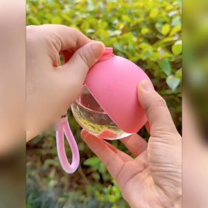 2-in-1Portable Dog Water Bottle Foldable Silicone Bowl Leakproof Travel Pet Feeder With Lanyard Hook