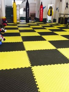Non-slip Thickened Training Mat