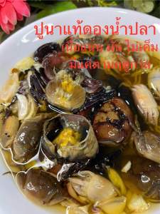 ปูนาแท้ดองน้ำปลา 700 กรัม (ปูขุด) ดองนัว ไม่เค็ม มีขายแค่ตามฤดูกาลปูนาไข่