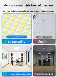 Maiyu | Đèn Năng Lượng Mặt Trời Trong Nhà Ngoài Trời