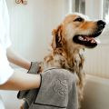 Super Absorbent Big Puppy Pet Dog Towel Bathrobe Bath Towel Microfiber Quick-Drying for Drying Dog Cat Bath Towel Bath Supplies. 