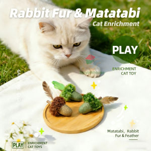 Catnip Toys for Self Pleasure Relieve Boredom Grind Teeth Stick Wood Spider Bite Interactive Cat Teasing Stick Cat Supplies New
