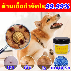 ป้องกันโรคผิวหนังจากเชื้อรา แชมพูอาบน้ำหมา 250G แชมพูสุนัข ไม่มีหมัดใน 10 ปี แชมพูอาบน้ำแมว บรรเทาอาการคัน ปกป้องผิว ระงับโรคผิวหนัง ครีมอาบน้ำหมา เรียบเนียนสุดๆ แมลงวันลื่นไถล ยุงลื่นไถล น้ำยาอาบน้ำ หมา กำจัดเหาและหมัดในสัตว์เลี้ยง แชมพูอาบน้ำสุนัข