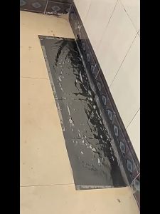 Lem Perangkap Tikus Jumbo 0.6/1.2M Jebakan Tikus / Lem Hama  Stiker Lem Tikus Super Lengket PH C1103