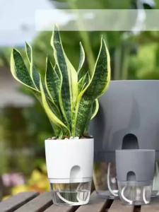 Self Watering Pots for Plants Flower Plant Pots with Drainage Holes Double-Layer Plastic Flower Pot Small Plant Pot Wicking