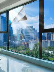 CHUSHE | Sun Protection Heat Insulation Anti-Peep Glare Shield Glass Film