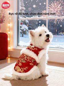 hipidog | Festive Winter Clothing for Small Dogs