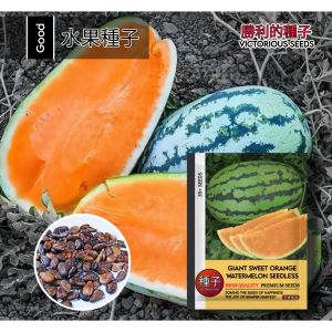 1 Pack (35 Butir) Benih Semangka Oren Raksasa Non Biji Kemasan Original Import / Benih semangka