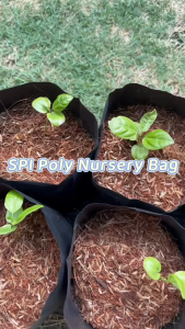 SPI High Quality Strong Poly Gardening Bag Various Sizes UV Resistant Sold in 1KG For Home Plantation Field