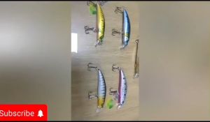 Lure Minnow Casting: Umpan Ikan Berkualitas Tinggi