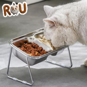 Raised Cat Food Bowls Stainless Steel Double Bowl Elevated Food Bowls For Cats 15 Degree Inclined Pet Feeder Cat Food And Water
