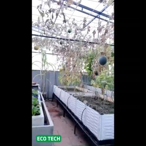 Chậu ghép thông minh HDPE/PP 250x100x39cm: Thẩm mỹ bền bỉ dễ lắp đặt phù hợp mọi cây trồng. Chậu Nhựa Bền Bỉ 10 Năm Chậu Trồng Rau Hoa Đa Năng - Lazada